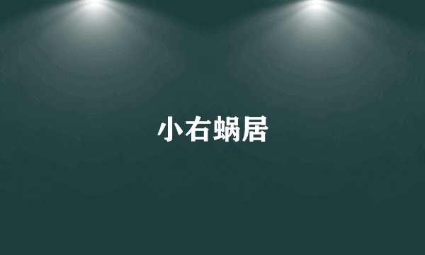 小右蜗居