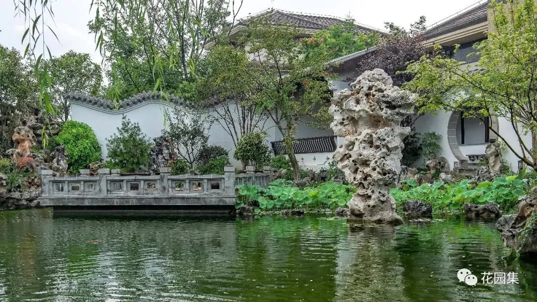园集奖优秀作品 | 于中原之地再造一个苏式古典园林,百看不厌