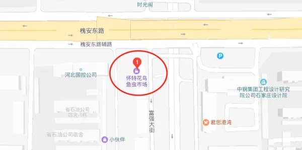 石家庄有几个花卉市场 都在哪里