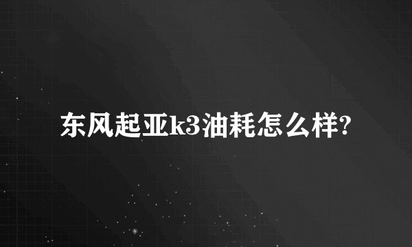 东风起亚k3油耗怎么样?
