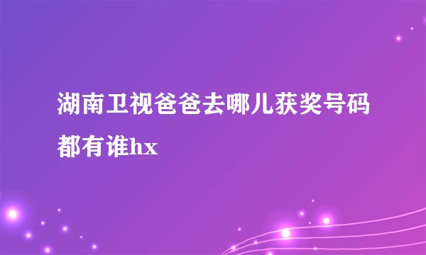 湖南卫视爸爸去哪儿获奖号码都有谁hx
