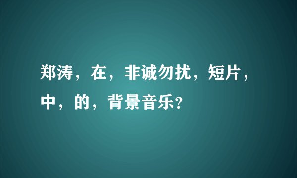 郑涛，在，非诚勿扰，短片，中，的，背景音乐？