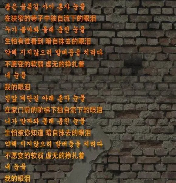 LeeSsang 眼泪的中文歌词