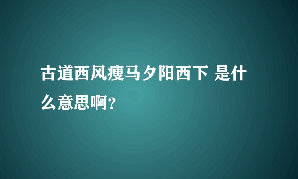 古道西风瘦马夕阳西下 是什么意思啊?