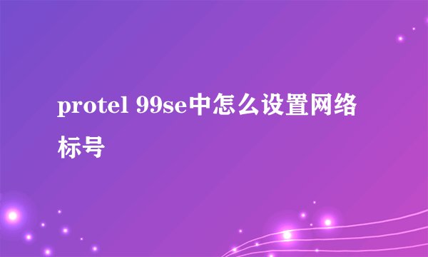 protel 99se中怎么设置网络标号