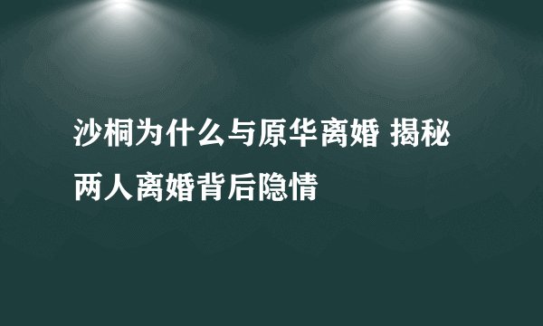 沙桐为什么与原华离婚 揭秘两人离婚背后隐情