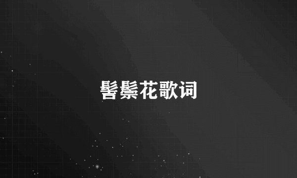 髻鬃花歌词