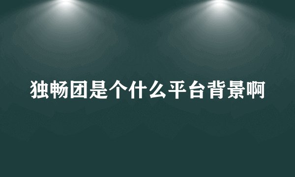 独畅团是个什么平台背景啊