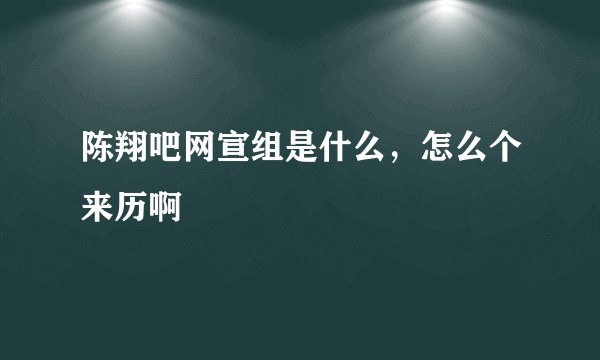 陈翔吧网宣组是什么，怎么个来历啊