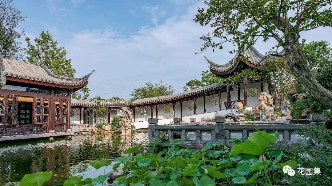 园集奖优秀作品 | 于中原之地再造一个苏式古典园林,百看不厌