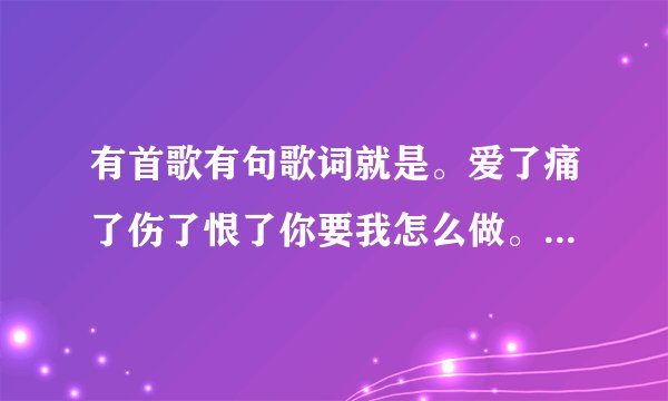 有首歌有句歌词就是。爱了痛了伤了恨了你要我怎么做。歌名叫啥？