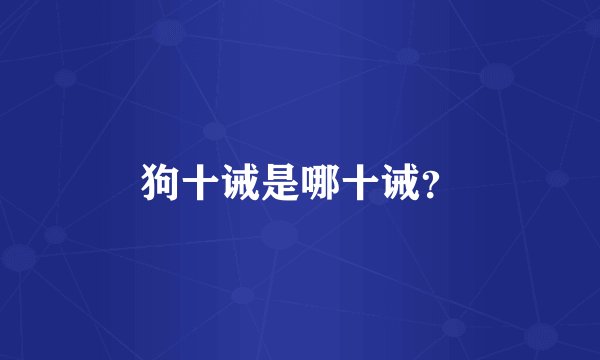 狗十诫是哪十诫?