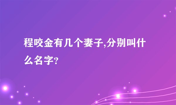 程咬金有几个妻子,分别叫什么名字?