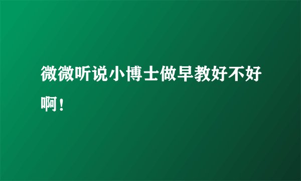 微微听说小博士做早教好不好啊！