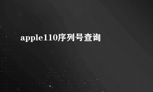 apple110序列号查询