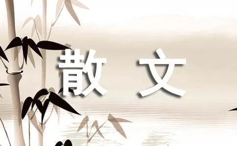 希望你活得潇洒散文诗摘抄