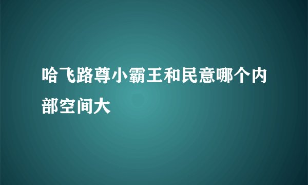 哈飞路尊小霸王和民意哪个内部空间大