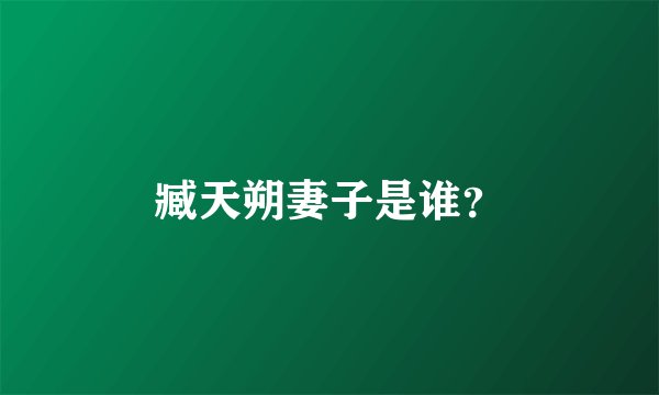 臧天朔妻子是谁？