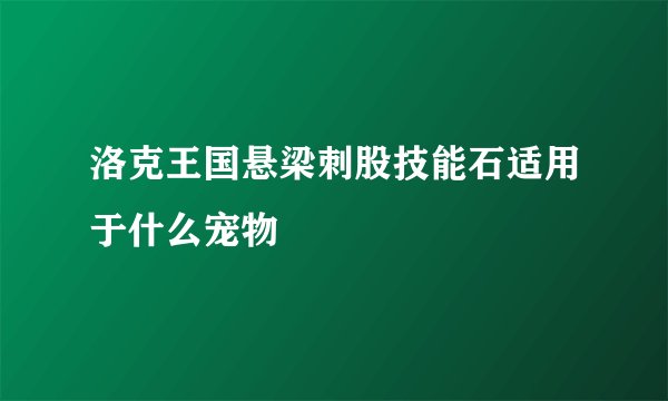 洛克王国悬梁刺股技能石适用于什么宠物