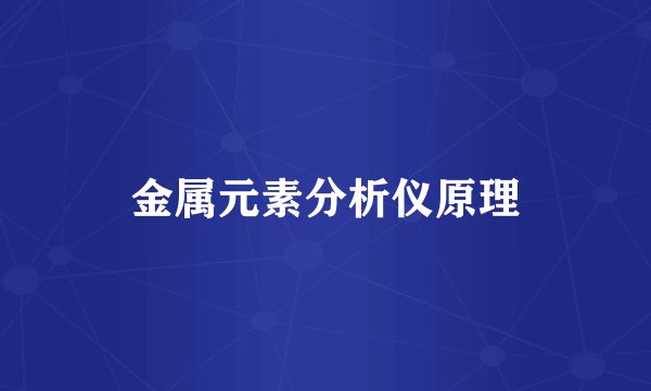 金属元素分析仪原理