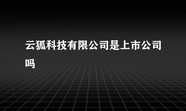 云狐科技有限公司是上市公司吗