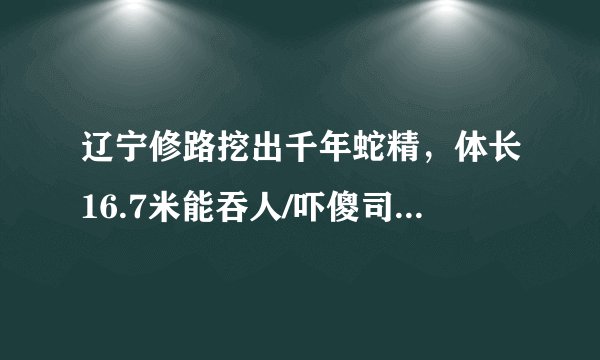 辽宁修路挖出千年蛇精，体长16.7米能吞人/吓傻司机(图片)