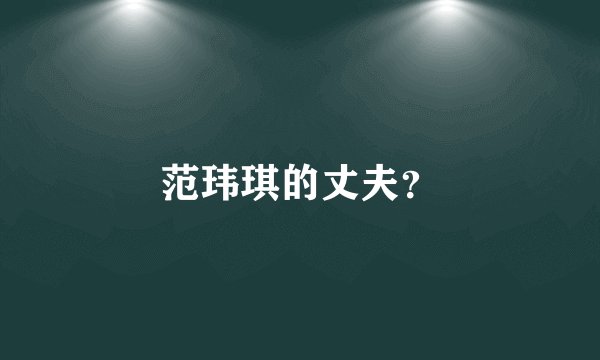 范玮琪的丈夫?