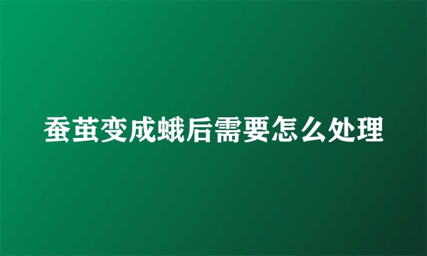蚕茧变成蛾后需要怎么处理