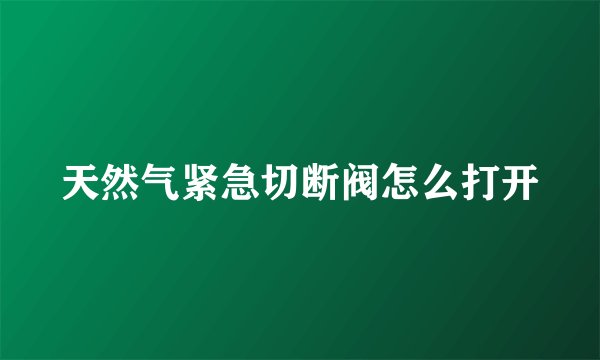 天然气紧急切断阀怎么打开