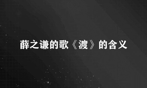 薛之谦的歌《渡》的含义