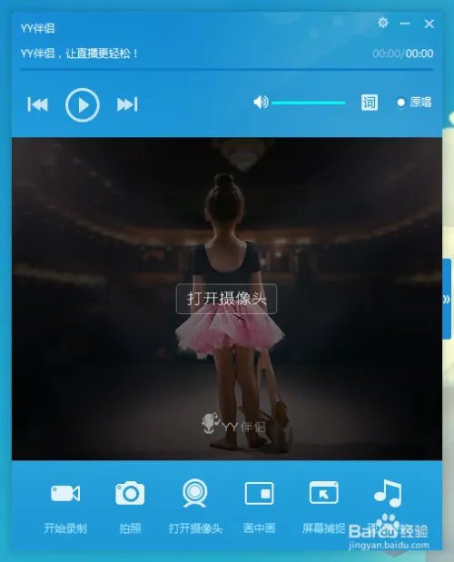 yy伴侣画中画怎么用