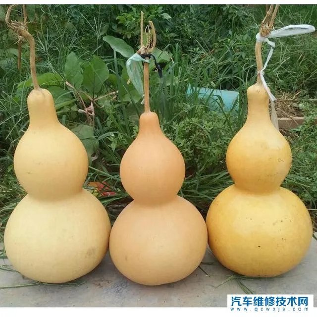 国产车和合资车差距到底有多大？主要差距在哪里