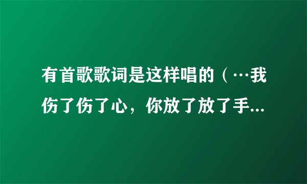有首歌歌词是这样唱的（…我伤了伤了心，你放了放了手。我们的爱已无法挽留…）请问这首歌的歌名是什么？