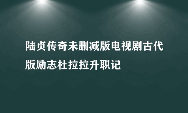 陆贞传奇未删减版电视剧古代版励志杜拉拉升职记