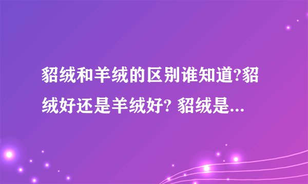 貂绒和羊绒的区别谁知道?貂绒好还是羊绒好? 貂绒是什么动物的皮毛?