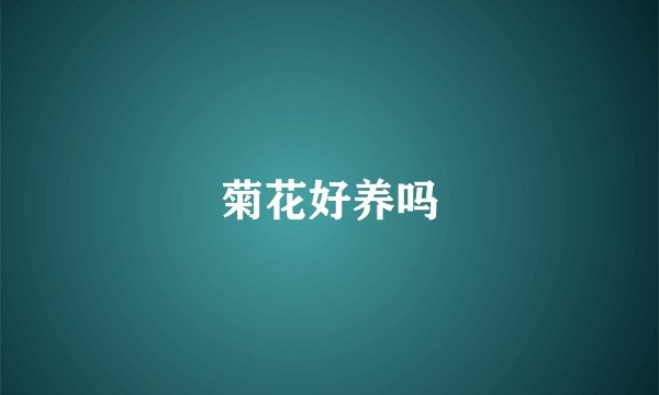 菊花好养吗
