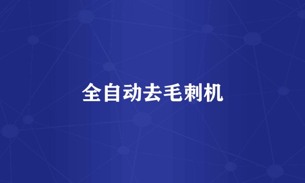 全自动去毛刺机
