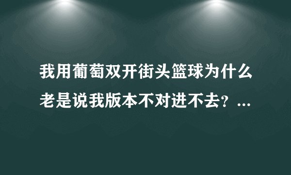 我用葡萄双开街头篮球为什么老是说我版本不对进不去？怎么办啊不能双开！
