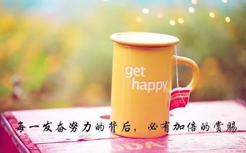 顾少爷的心尖妻苏可歆顾迟全文阅读 木木雨