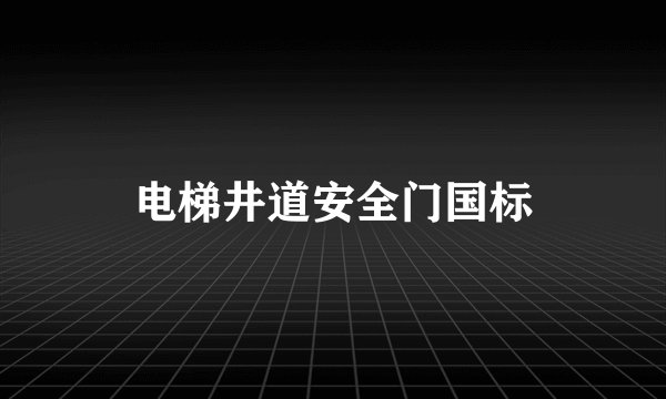 电梯井道安全门国标