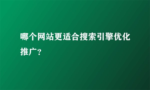 哪个网站更适合搜索引擎优化推广?