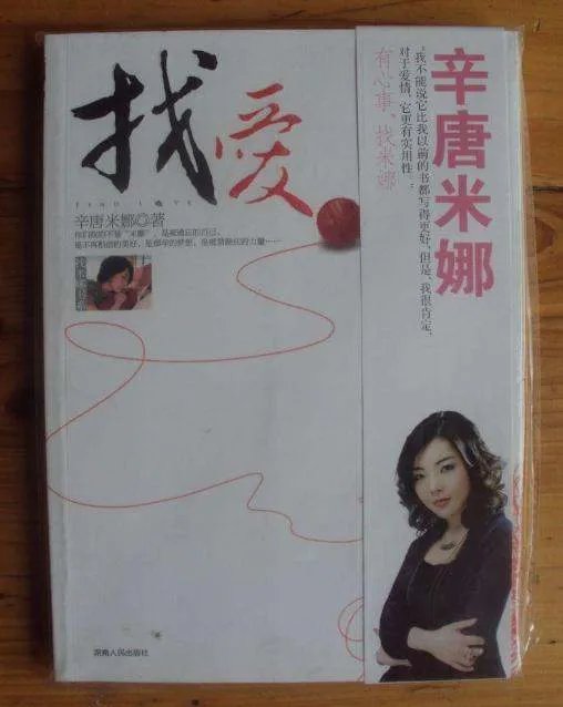 辛唐米娜的主要作品