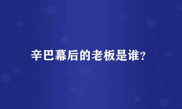 辛巴幕后的老板是谁?