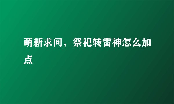 萌新求问,祭祀转雷神怎么加点