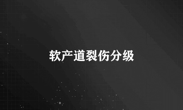 软产道裂伤分级