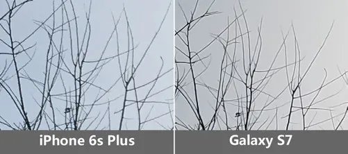 把握每个像素 三星S7/iPhone6sP拍照对比