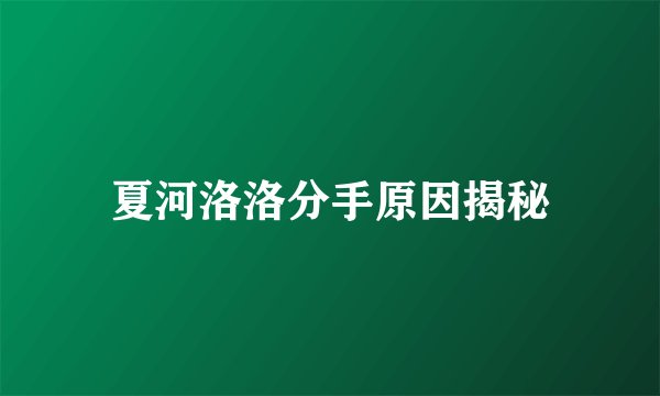 夏河洛洛分手原因揭秘