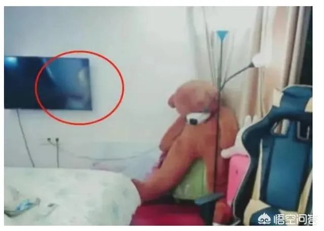 女主播涨粉10万,就是因为房间里有台电视机,你有何看法?