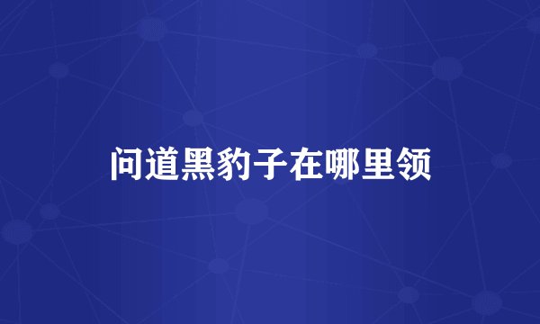 问道黑豹子在哪里领