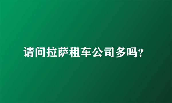 请问拉萨租车公司多吗？